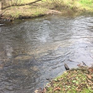 Meet your Posher, Jess